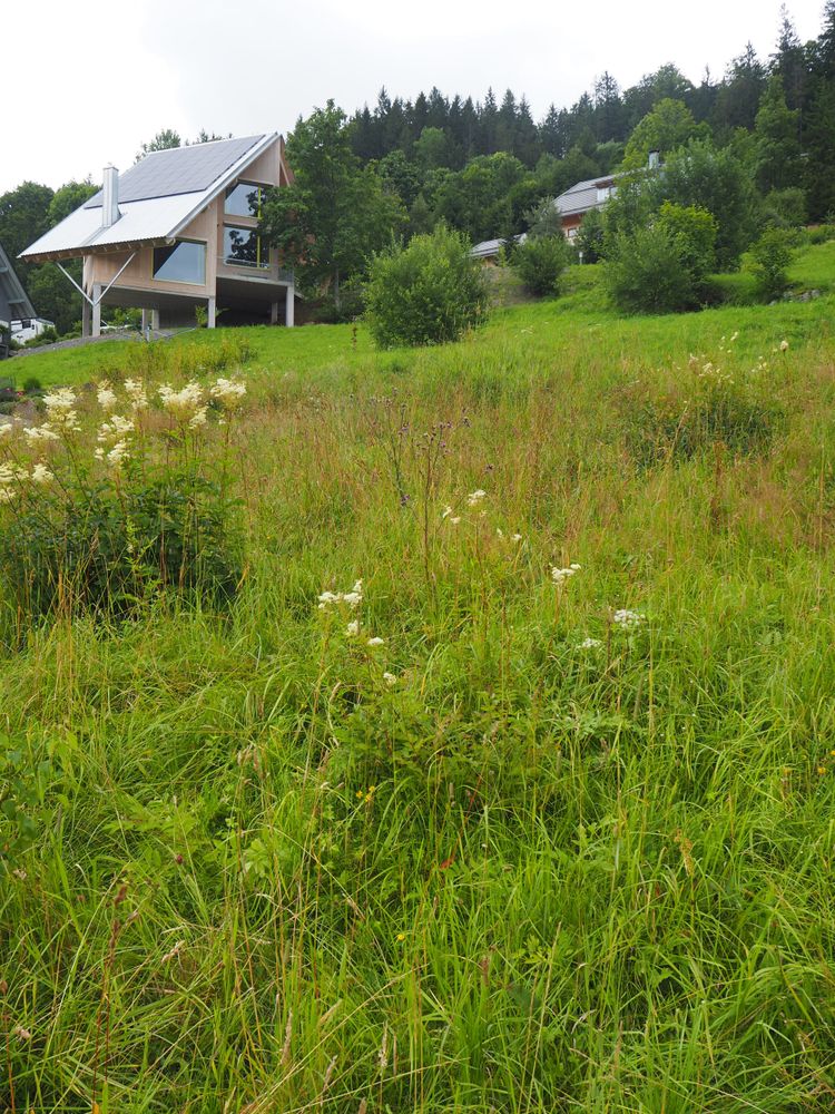Bleibe Men­zen­schwand