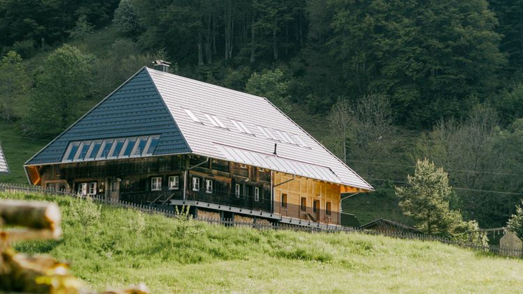 Black Forest House 1650