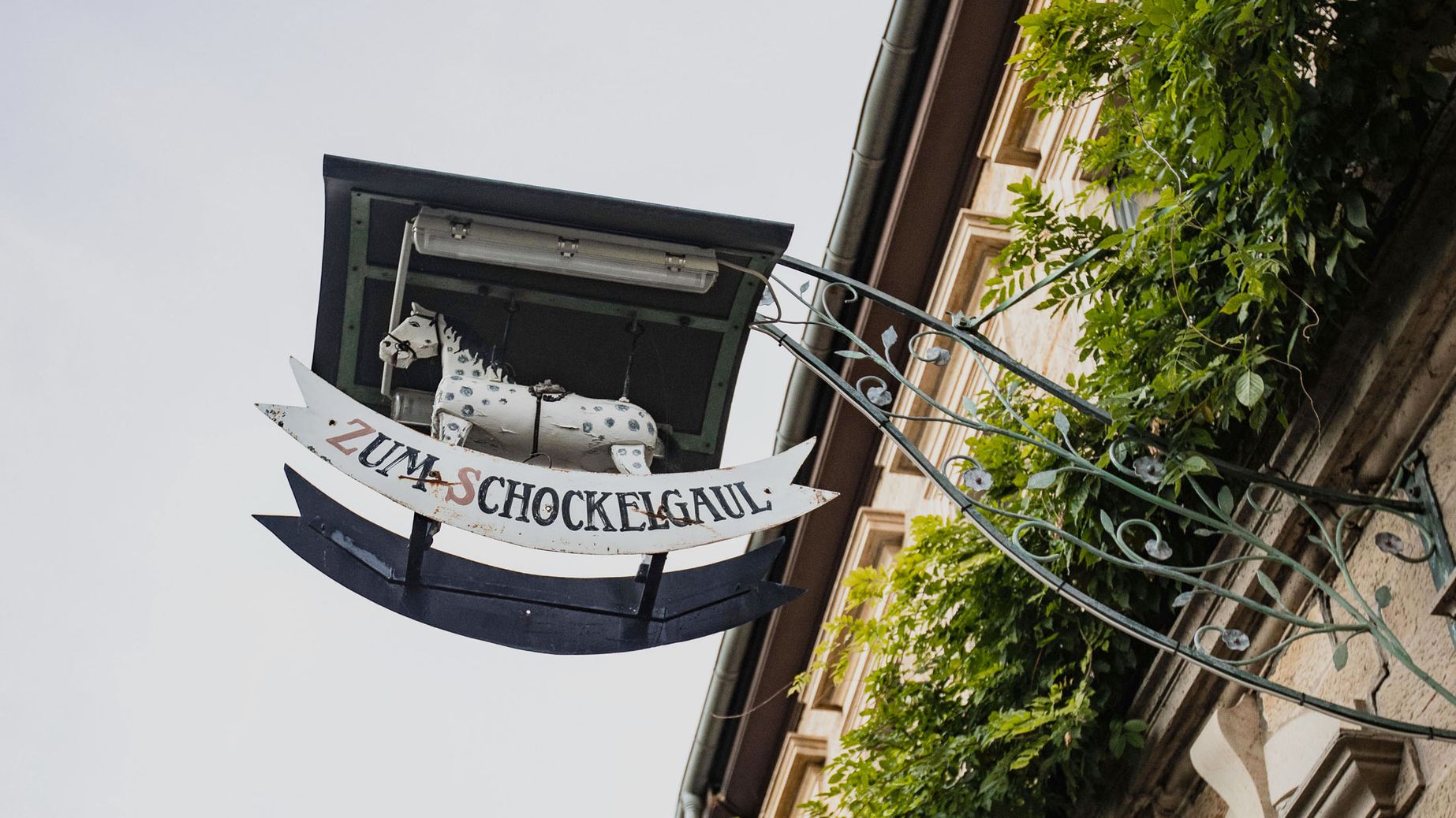 Scho­ckelgaul