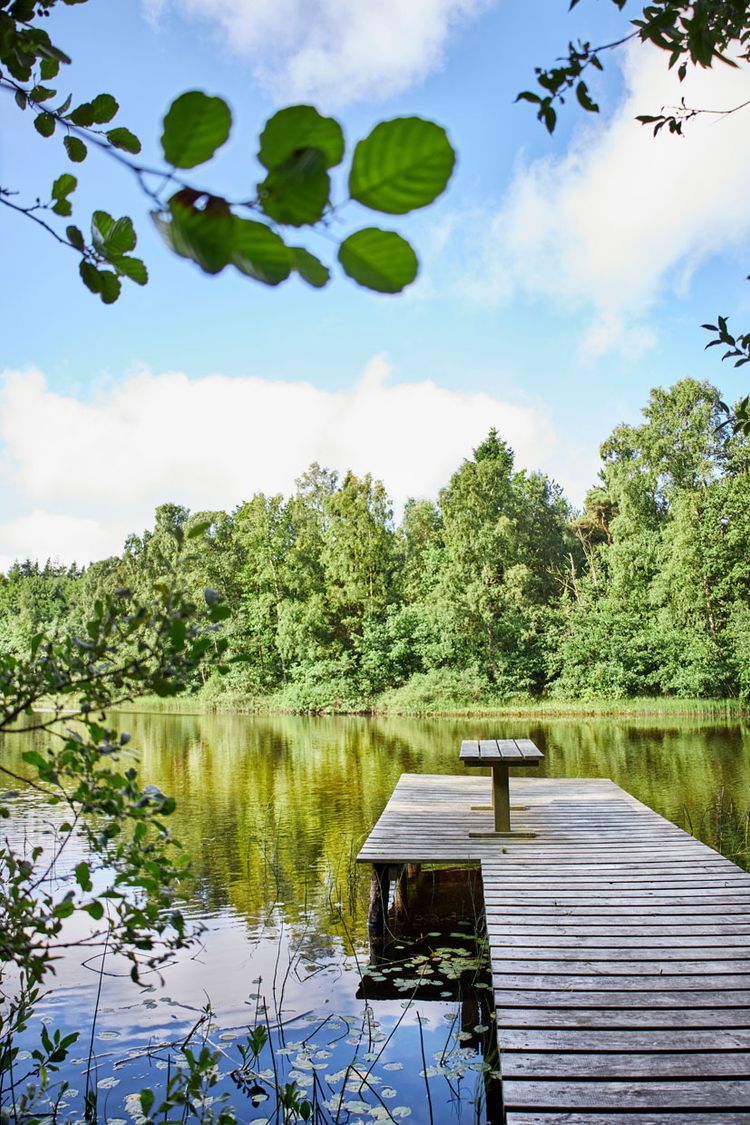 Løvtag Bornholm