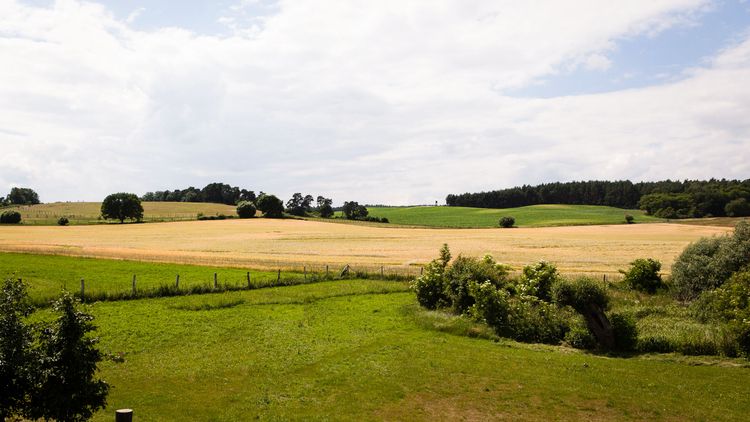 Das schwarze Haus
