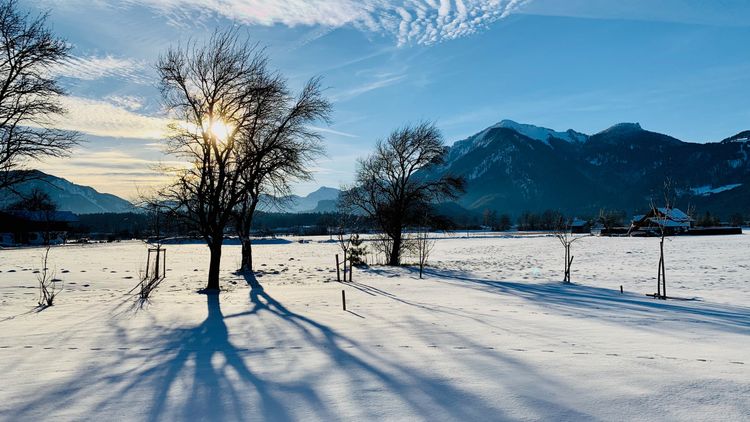 Zuhaus Frei­weidach