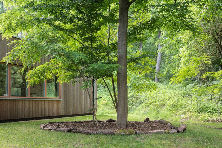 Haus am Wald