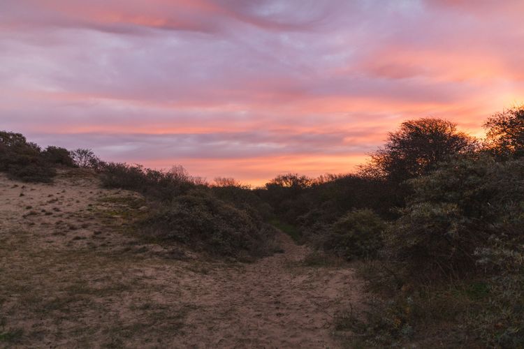Dune Seaside Getaway