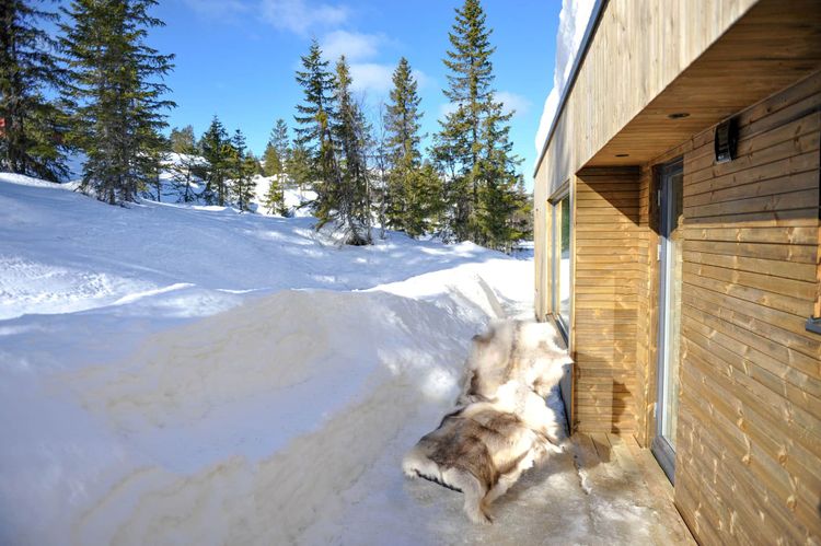 Nor­wegian Wood Cabin T2027