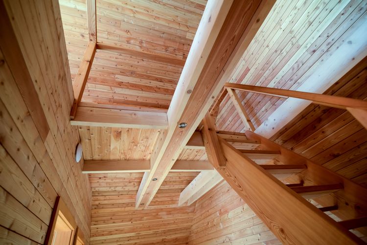 Smart Wood House