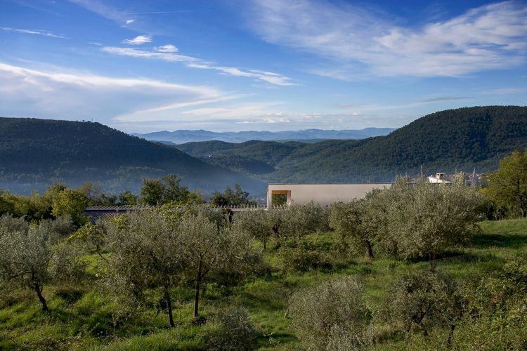 Villa Jones