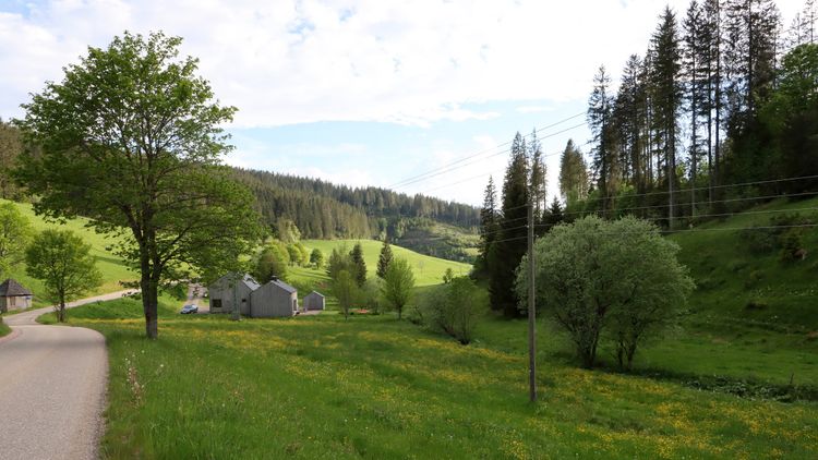Am frü­heren Sei­ler­han­senhof