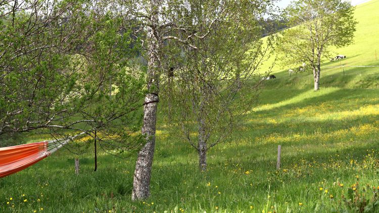 Am frü­heren Sei­ler­han­senhof