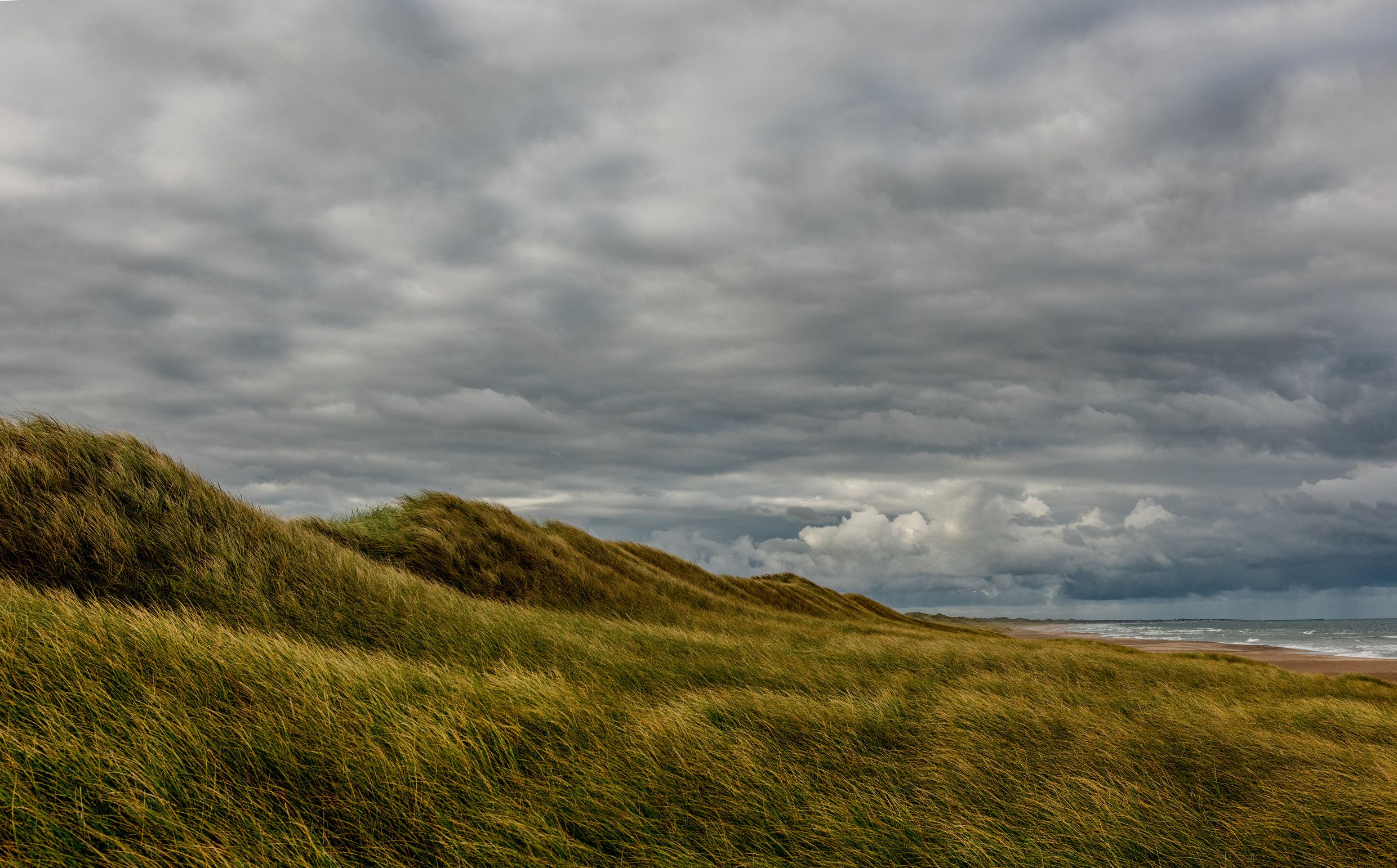 View of the beach under an overcast sky near Klitmøller on the west coast of Denmark, in Thy National Park. Udsigt henover vesterhavsstranden på en overskyet dag tæt på Klitmøller i Nationalpark Thy i Nordjylland.