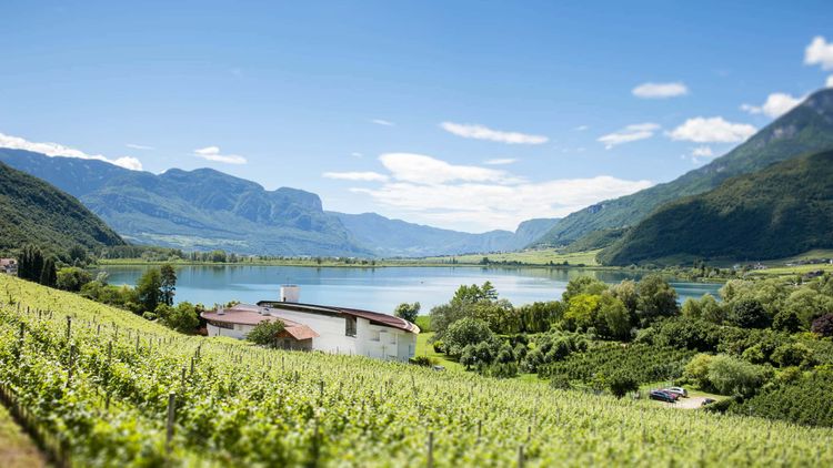 See­hotel Ambach