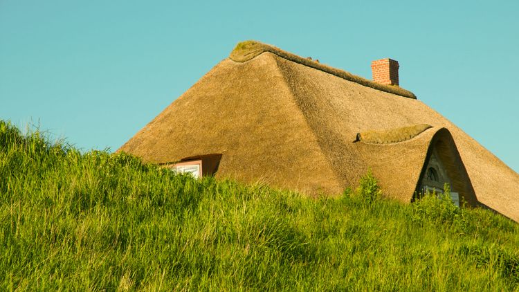 Teten­büll­spieker