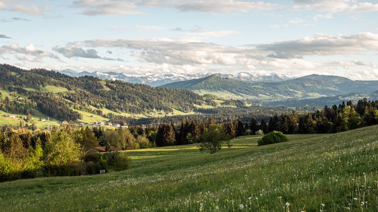Alpenloge
