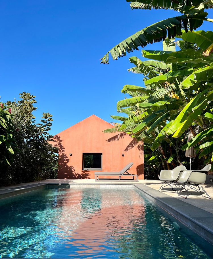 The Banana House