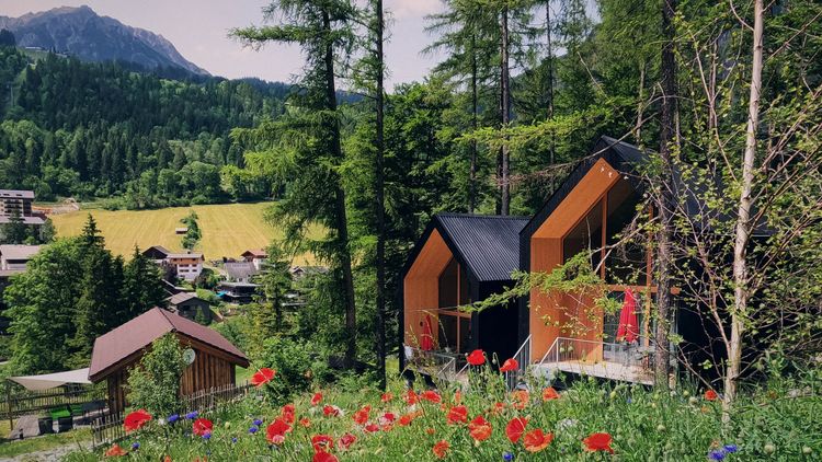 Wald­chalets Brand­nertal