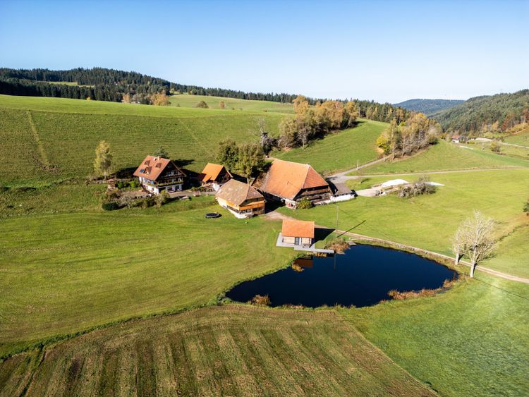 Backhaus
