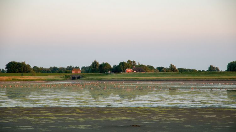 Teten­büll­spieker