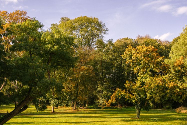 Gutshaus Frie­den­felde