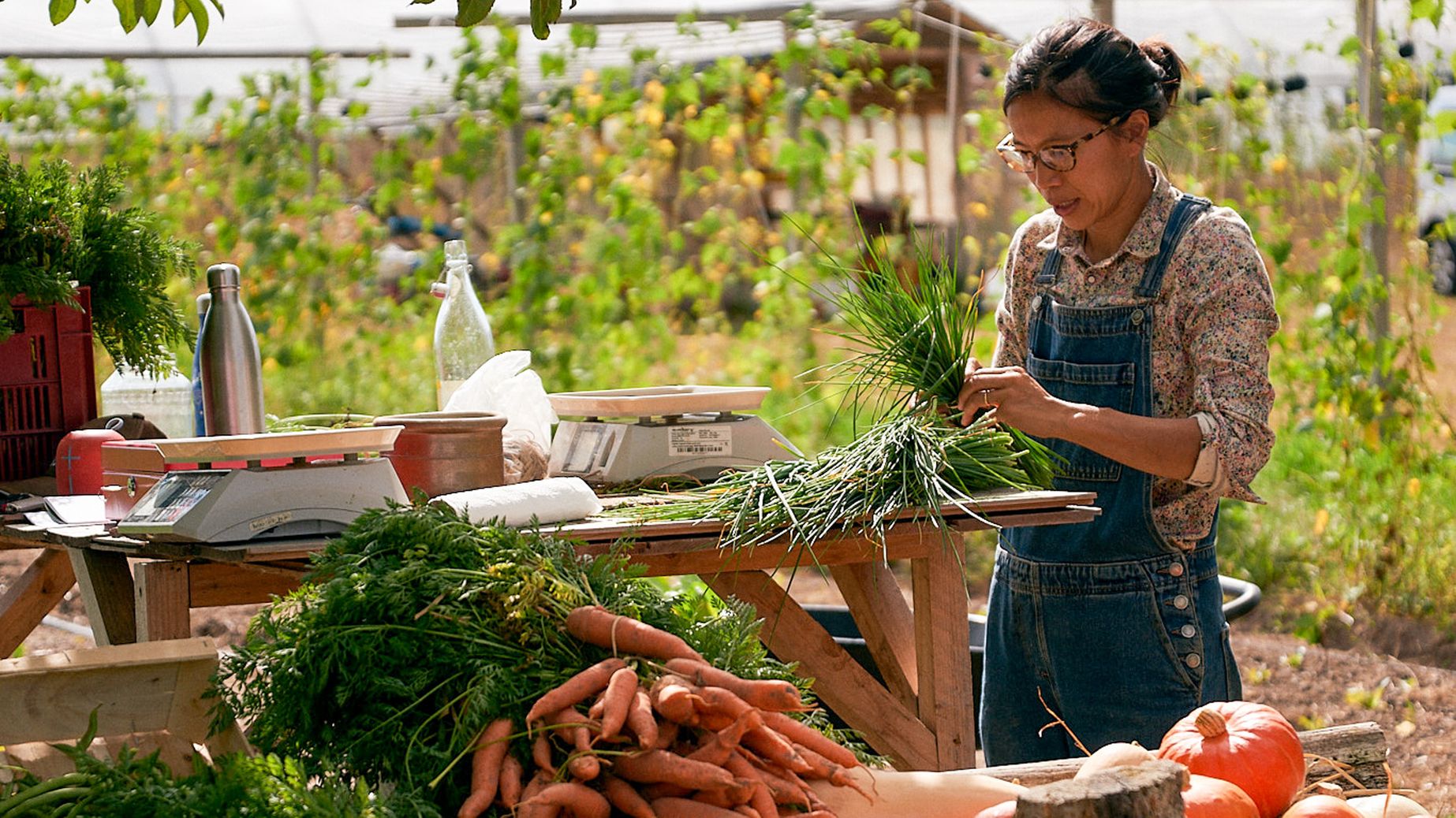 Ein Bett zwi­schen Kohl und Tomaten: La Ferme de Brouage