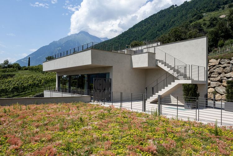 Pergola Resi­dence & Spazio 46