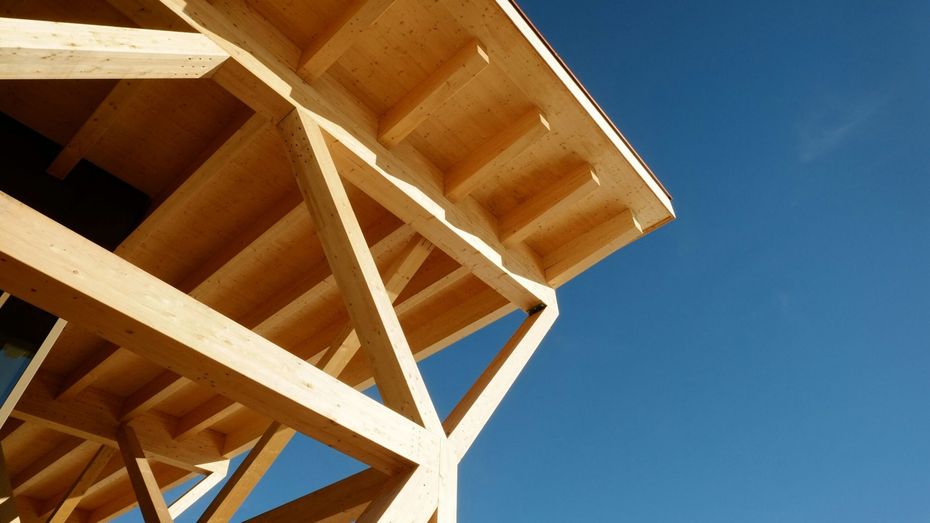 Room to Breathe – Archi­tecture Beneath Exposed Roof Trusses