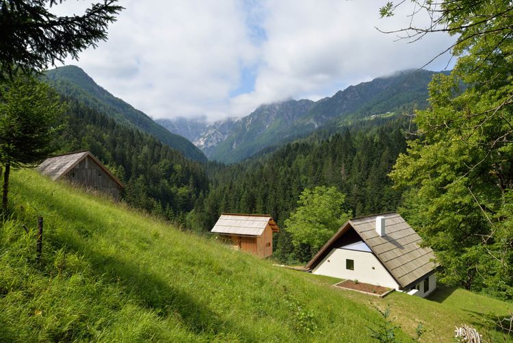 Alpine Con­trap­posto