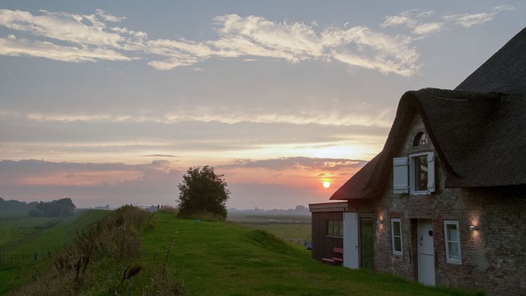 Teten­büll­spieker