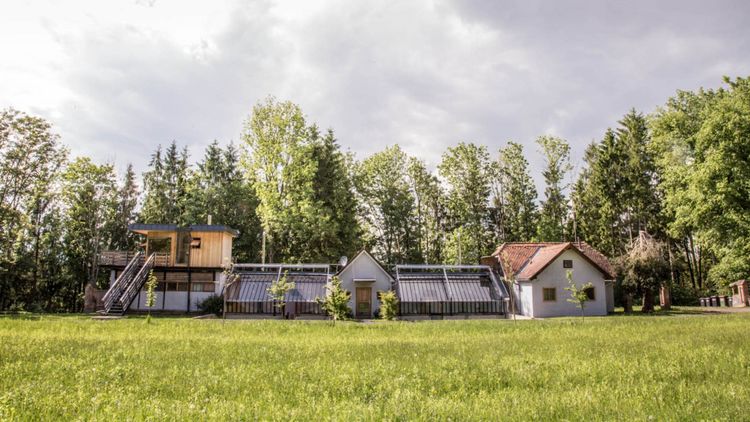 Altes Gewächshaus am Spie­gelsee