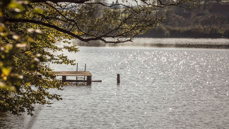 Altes Gewächshaus am Spie­gelsee