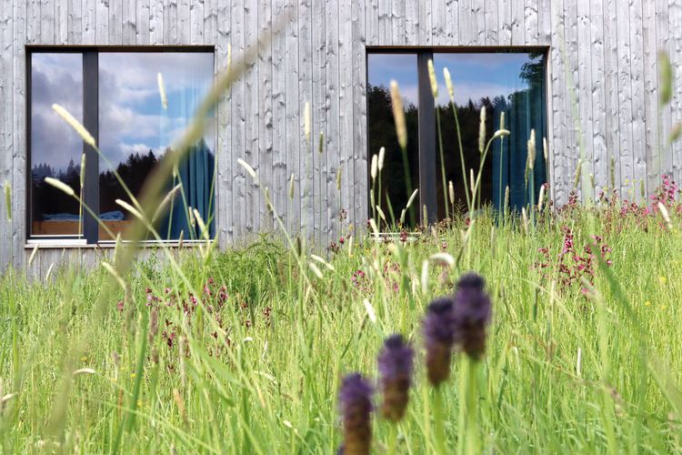 Am frü­heren Sei­ler­han­senhof