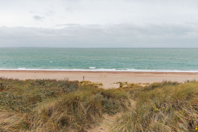 dune