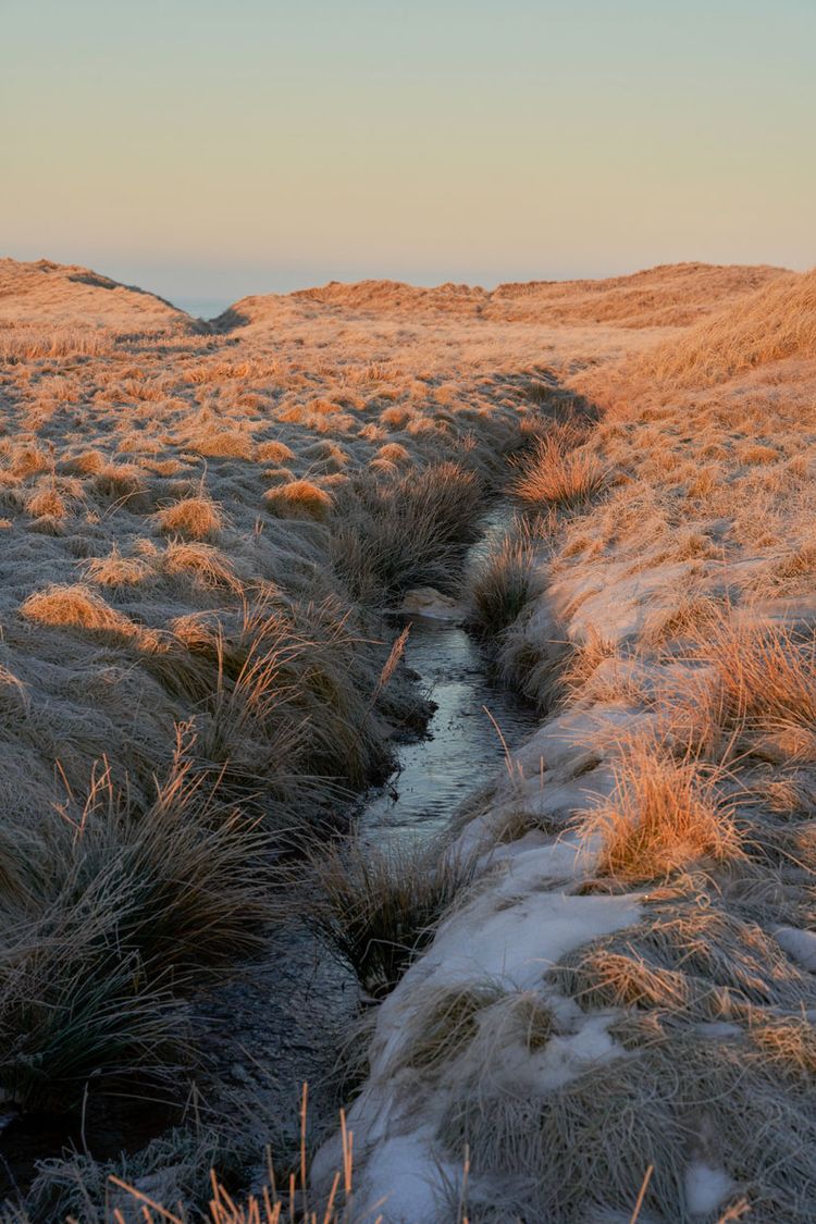 Vipp Cold Hawaii