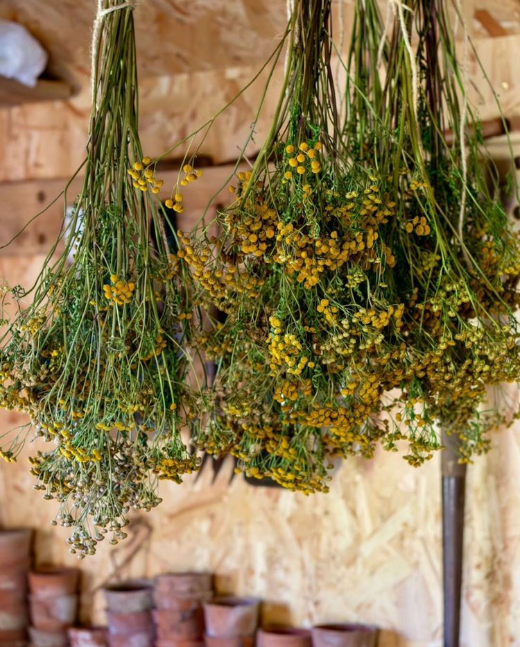 Fow­les­combe Farm
