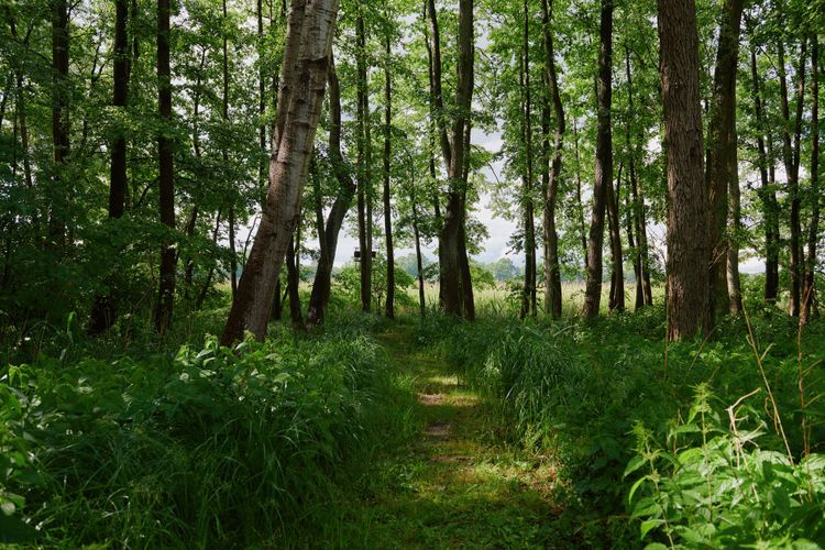 Urlaub an der Seen­platte