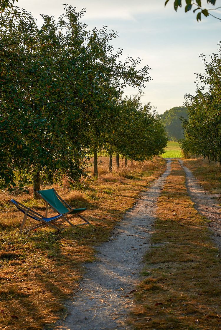 La Ferme de Brouage
