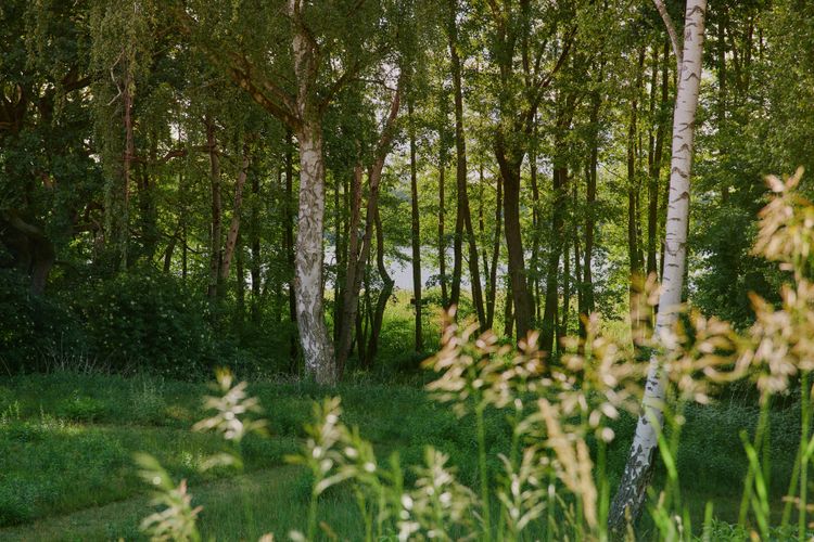Urlaub an der Seen­platte