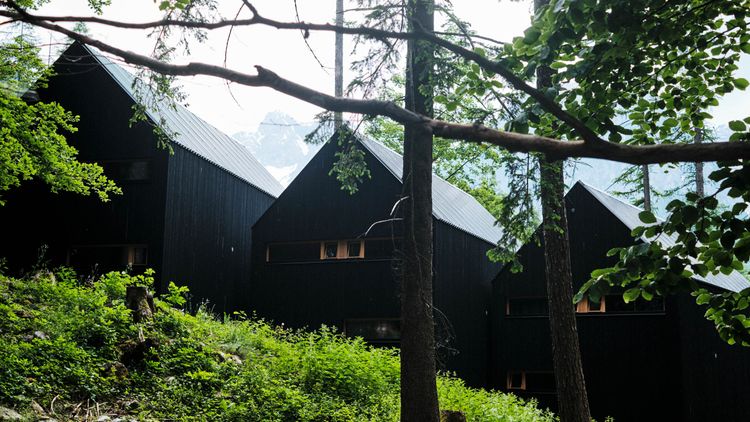Wald­chalets Brand­nertal