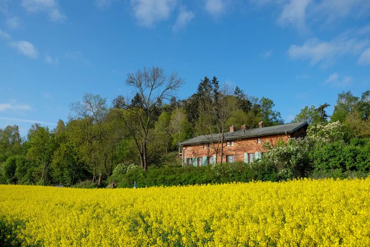 Landhaus Fre­den­walde