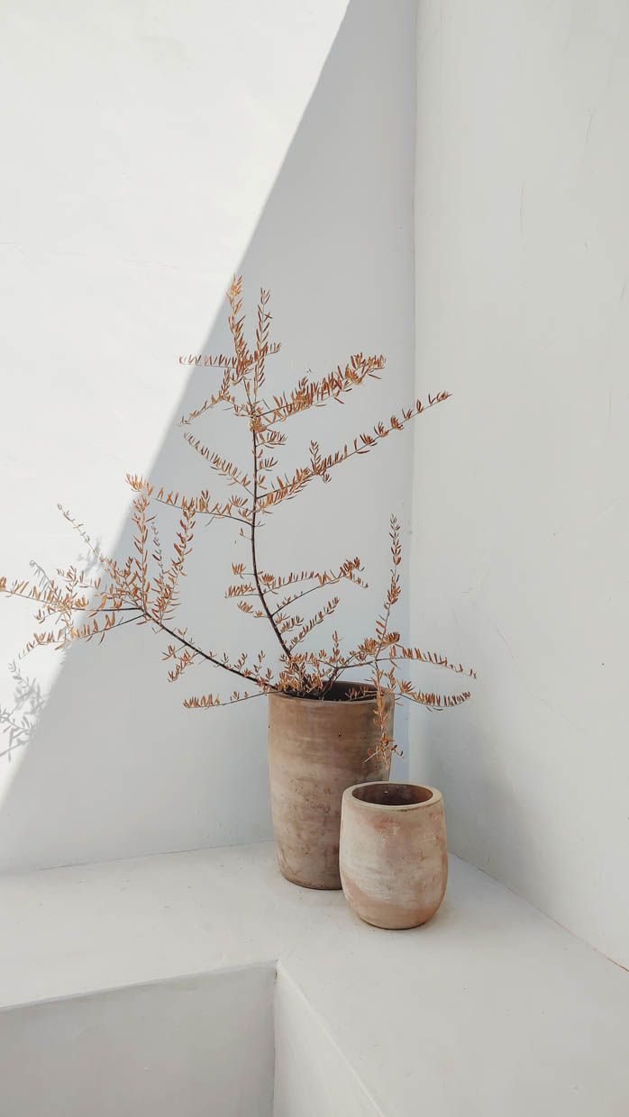 Casa Linear