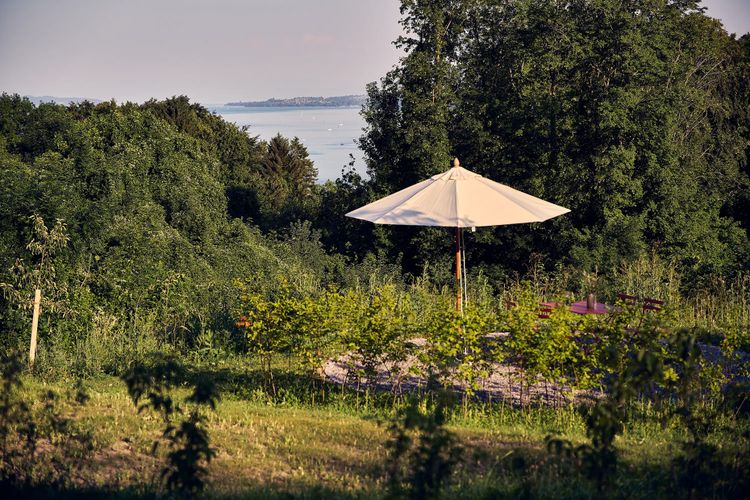 Hof Spit­telsberg