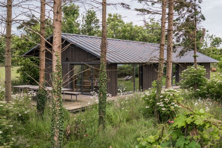  Wald­haus­studio