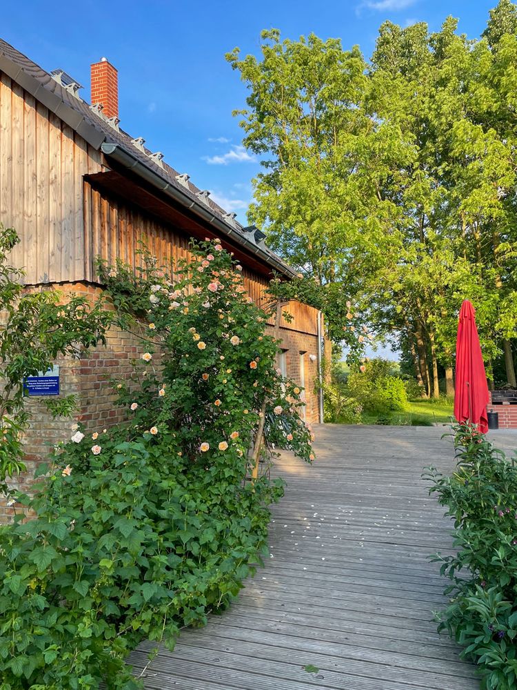 Sankt Unterholz