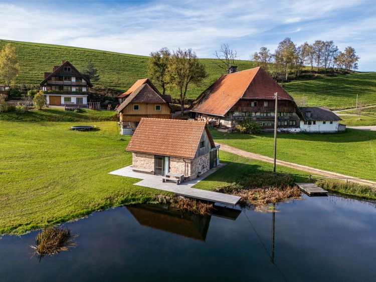 Backhaus