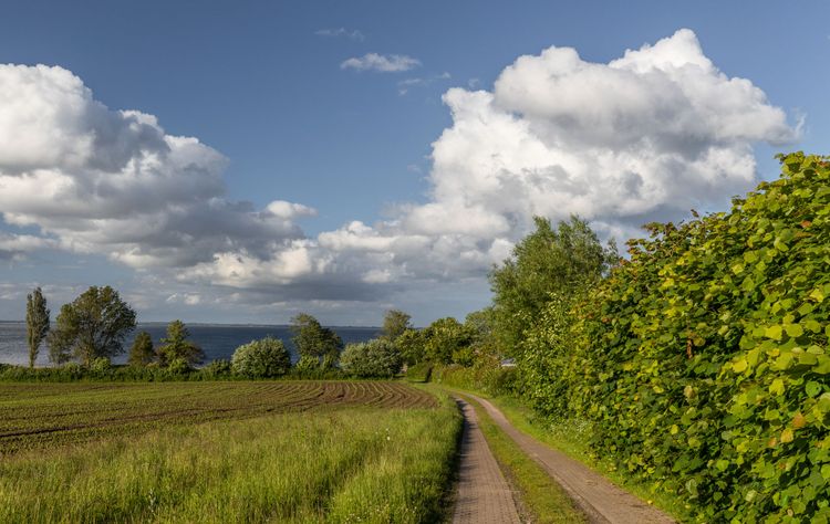 Nord­stern