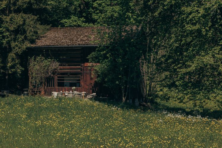 Bene­dikta