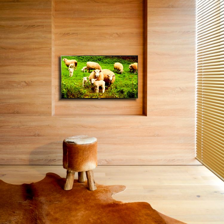 Refugium Bet­zen­stein
