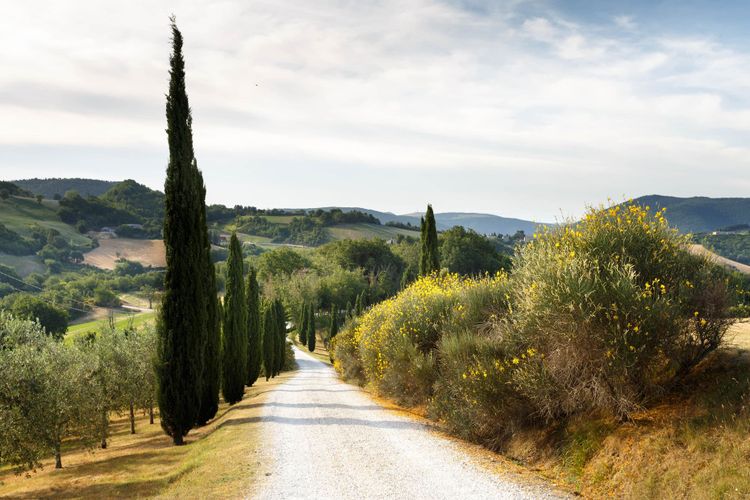 Borgo Tran­quillo