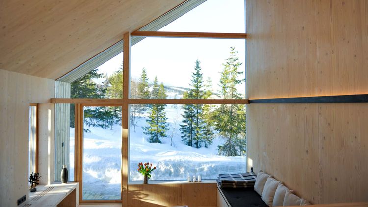 norwegian wood cabin