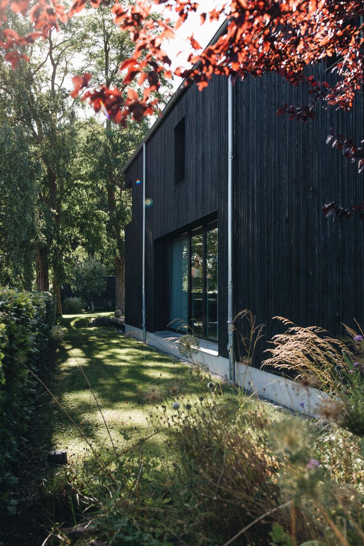 WIECKin House
