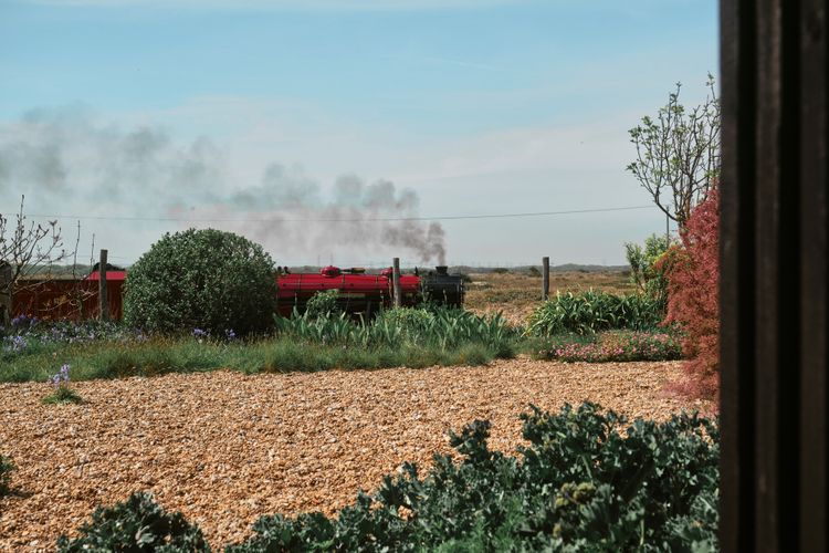 The Shingle House